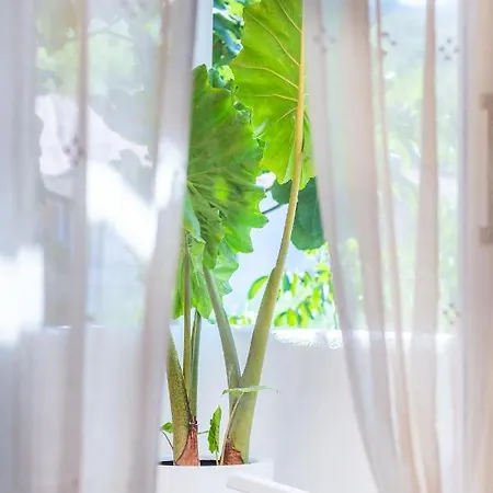 Giritimu B'yaz Alojamento de Acomodação e Pequeno-almoço *