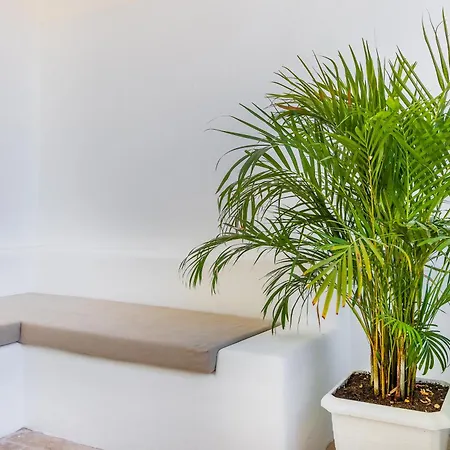 Giritimu B'yaz ベッド・アンド・ブレックファスト *